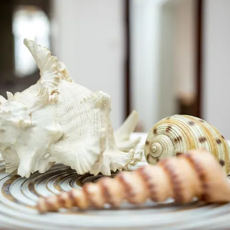 Casa Plumeria Of Old Town Rhodes Apartment *